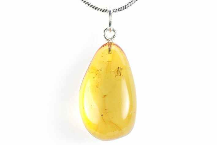 Polished Baltic Amber Pendant (Necklace) - Contains Fly! #288820